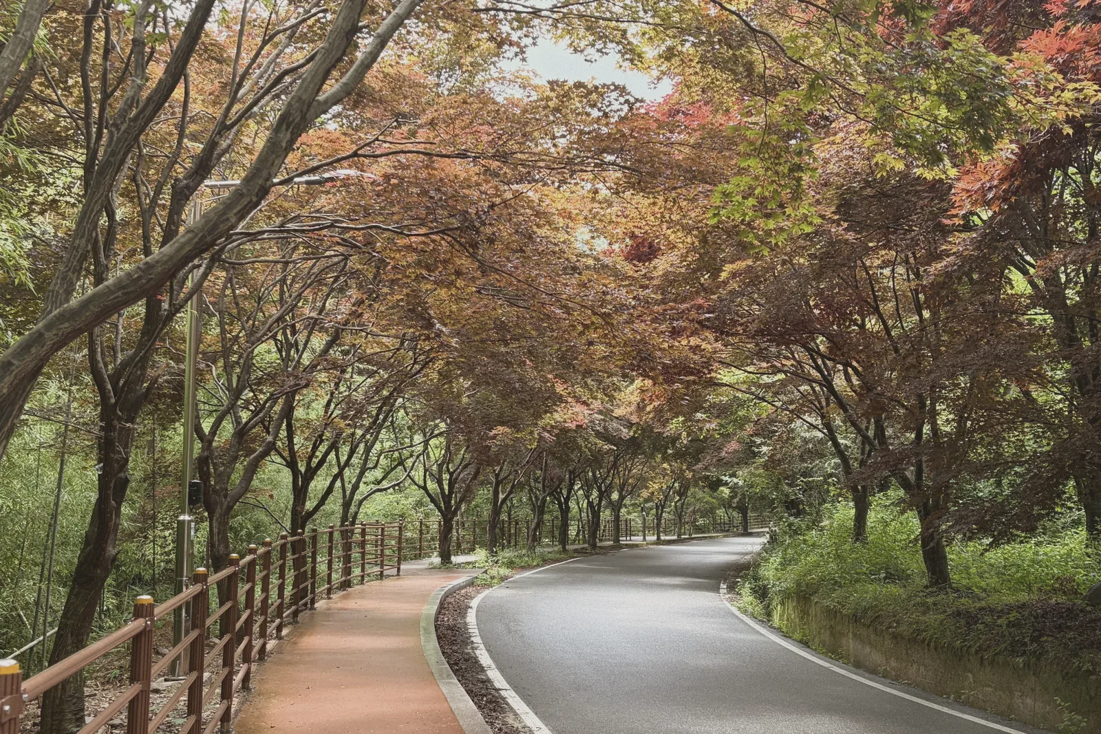 A paved path lined with red and orange autumn trees beside a riverside railing.