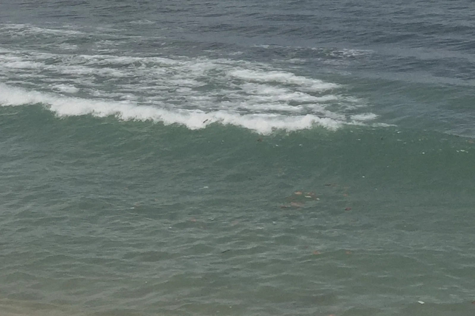 White surf foam rolling across a summer sea.