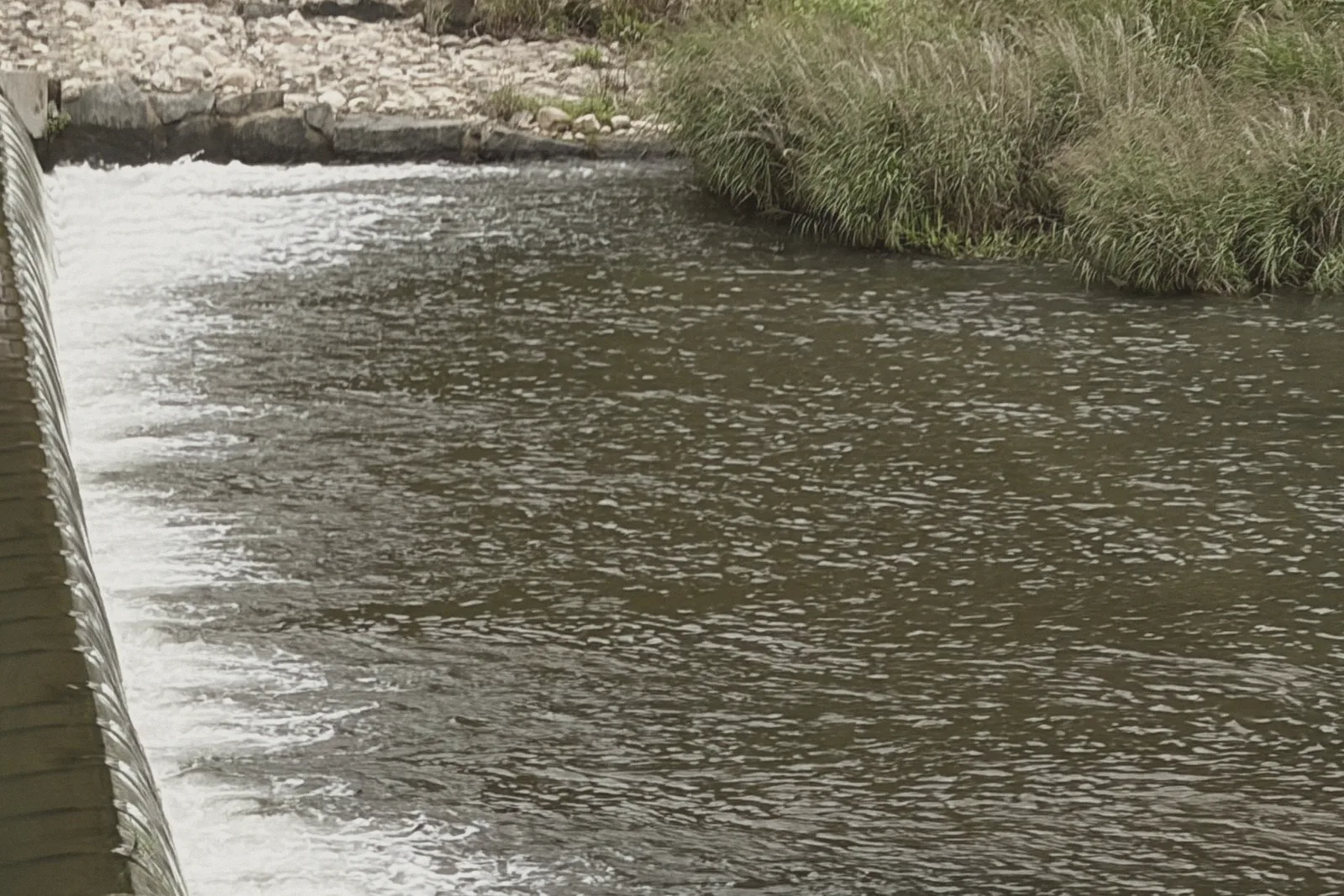 A thin, glassy sheet of water spilling over a weir.