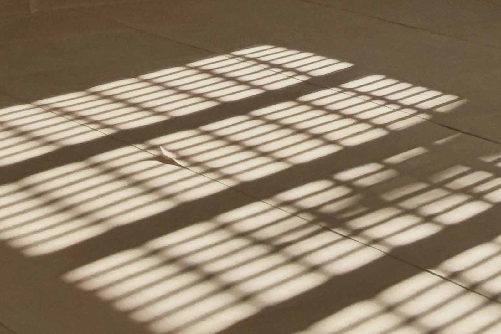 Window light casting a grid of sun and shadow on a wall.