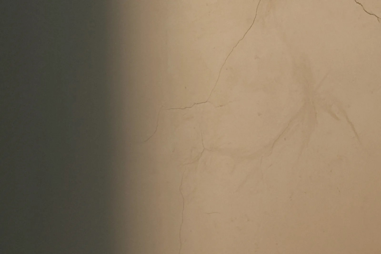 Soft bands of window light on a pale wooden door.