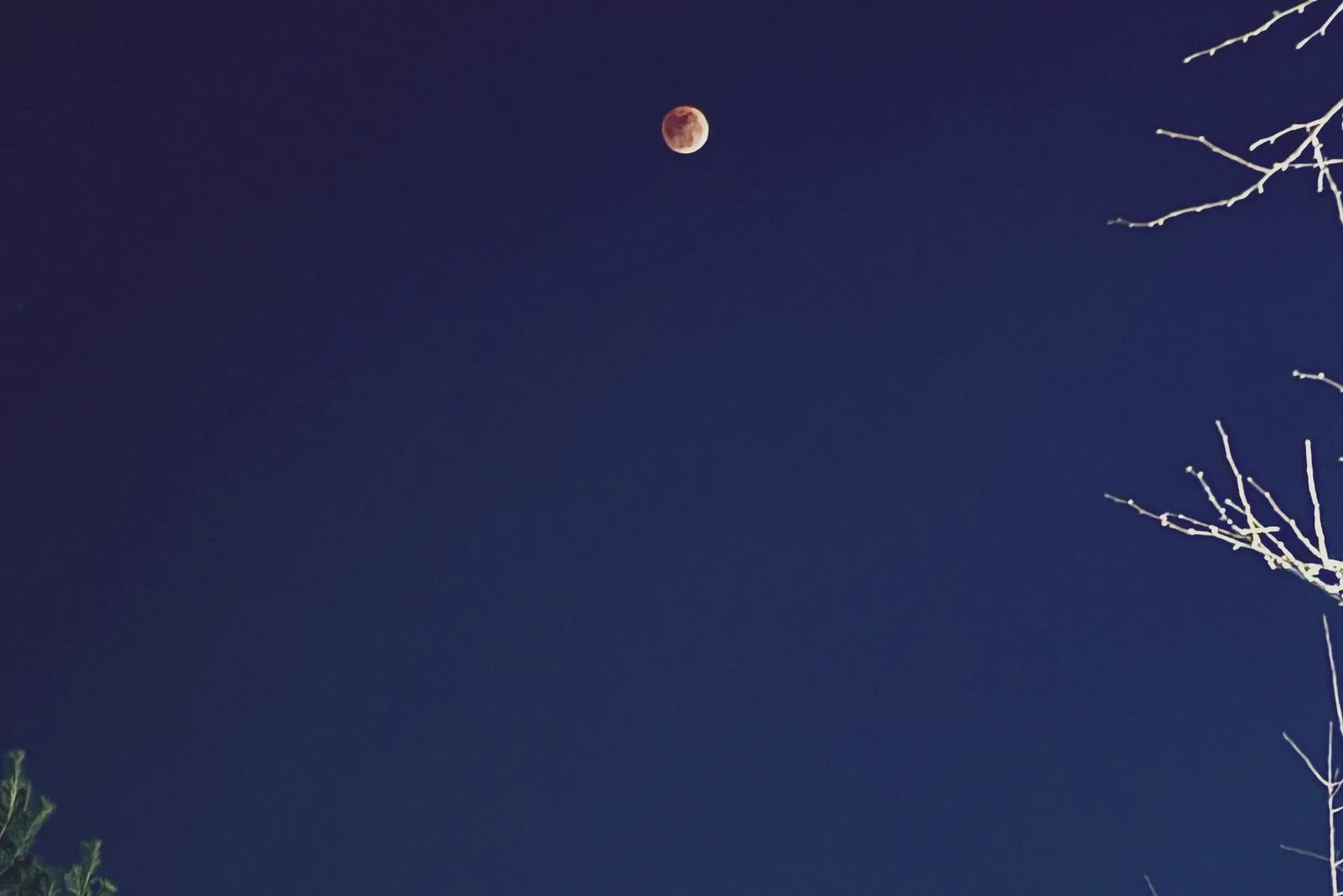A small moon in a deep blue night sky.